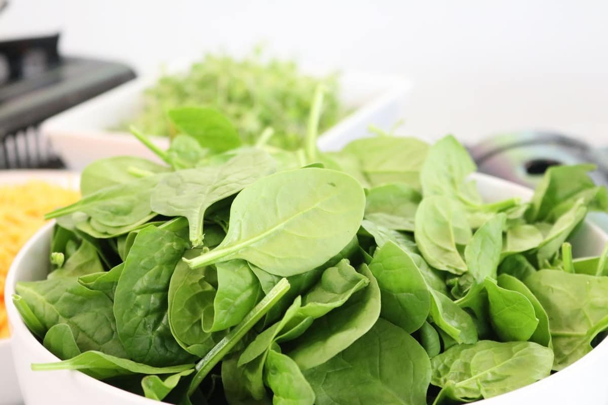Bowl of fresh baby spinach leaves, a dietary source of alpha-lipoic acid